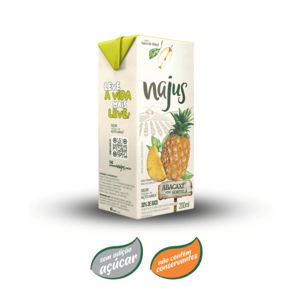 Suco de abacaxi com hortelã néctar najus 200ml